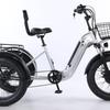 Ventas Directas de Fábrica Silver Fox Motor de 500W 48V Modelo de Aleación de Aluminio para Pasajeros y Carga Triciclo Asistido con Batería de Litio Incorporada