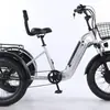 Triciclo Eléctrico Zorro Plateado 2025 Acero de Alto Carbono Aleación de Aluminio Llanta Ancha de 24 pulgadas Modelo para Hombres, Mujeres y Adultos Mayores Velocidad de 20 Km