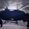 Máscara de Dormir Estereoscópica 3D para Homens e Meninas, Proteção Ocular de Cintura Bloqueadora de Luz para Estudantes, Fofa para Aliviar a Fadiga, Máscara de Olho para Dormir