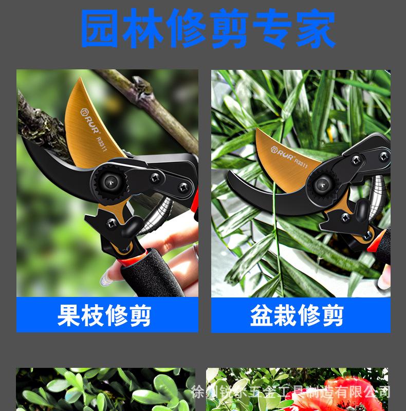 详情_06.jpg