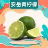 Limão Verde Anyue de Sichuan, disponível para envio direto, peças de 1/2/3/ 2,5kg, com sementes, casca fina, suculento e perfumado, recém-colhido