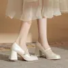 Sapatos Femininos Mary Jane Salto Bloco Jin Gang MY7007 2024 Novo Primavera e Outono Versátil Salto Alto Bico Fino Sapatos de Salto para Mulheres