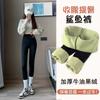Calças de tubarão roupas externas femininas 2023 primavera e outono cintura alta barriga contraindo leggings forrado de lã grosso ioga Barbie calças inverno quente