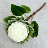 Decoração de Casa Retro Escandinava Flor Artificial Processo de Feltro à Mão Material de Seda de Fruta Sakyamuni Flor Artificial Decoração de Mesa