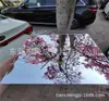 Lente de Plástico Lente Acrílica Espelho de Plástico Espelho Acrílico Fabricantes Atacado Personalizado