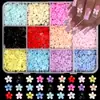 Decoraciones de Uñas Flor de Cinco Pétalos Coloridas de 12 Compartimentos Caja de Pedrería Flat-Back Set de Cuentas de Acero Resina Accesorios DIY para Uñas Venta al por Mayor