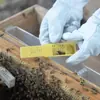 Herramientas de Apicultura Jaula Real Jaula Real Alargada Jaula para Abeja Reina Jaula Real Plástica Multifuncional para Abejas Reina