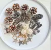 Fruta Fixa Natural Planta Fruta Casca Espécime Material Decoração Flores Secas Fatias Jardim de Infância DIY Pacote de Material de Natal