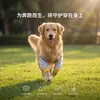 Rodilleras y coderas para perros, protectores de articulaciones de patas delanteras agrandados y engrosados, ropa para mascotas para Border Collies, Golden Retrievers y perros medianos a grandes