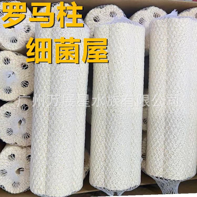 微信图片_20230701132435