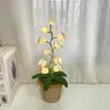 [Producto Terminado] Linterna de Campanillas de Lana Tejida a Mano Transfronteriza Flor Artificial Adornos de Escritorio Tejidos Regalos Creativos