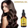 Sérum Capilar de Jengibre Eelhoe Suave y Brillante, Limpia el Cabello, Refrescante, Suave, Sérum Suave y Nutritivo