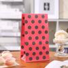 Bolsa de Papel de Estilo Nuevo Simple con Lunares Transfronteriza Bolsa de Regalo Plana de Dibujos Animados Festivos Bolsa de Regalo Linda Bolsa de Dulces