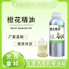 Extracción por Destilación de Plantas de Azahar Aceite Esencial de Planta Única, Materia Prima de Aceite Esencial de Planta Aromática, Aceite Esencial de Azahar, Aceite Esencial para Aromaterapia