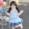 Suéter Chaleco de Dibujos Animados de Otoño para Niñas Vestido de Manga Larga 2026 Nuevo de Moda Conjunto de Vestido de Malla de Princesa para Bebé