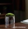 Florero de vidrio de borosilicato alto tubo recto botella ecológica planta hidropónica tarro de vidrio vidrio transparente adornos de sala de estar tarro DIY