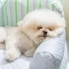 Cama para Perro Estilo Nuevo Primavera y Verano Estilo Bosque para Todas las Estaciones Respaldo de Sofá Cama para Perro Esterilla Refrigerante de Verano Cama para Gato Cama para Mascota