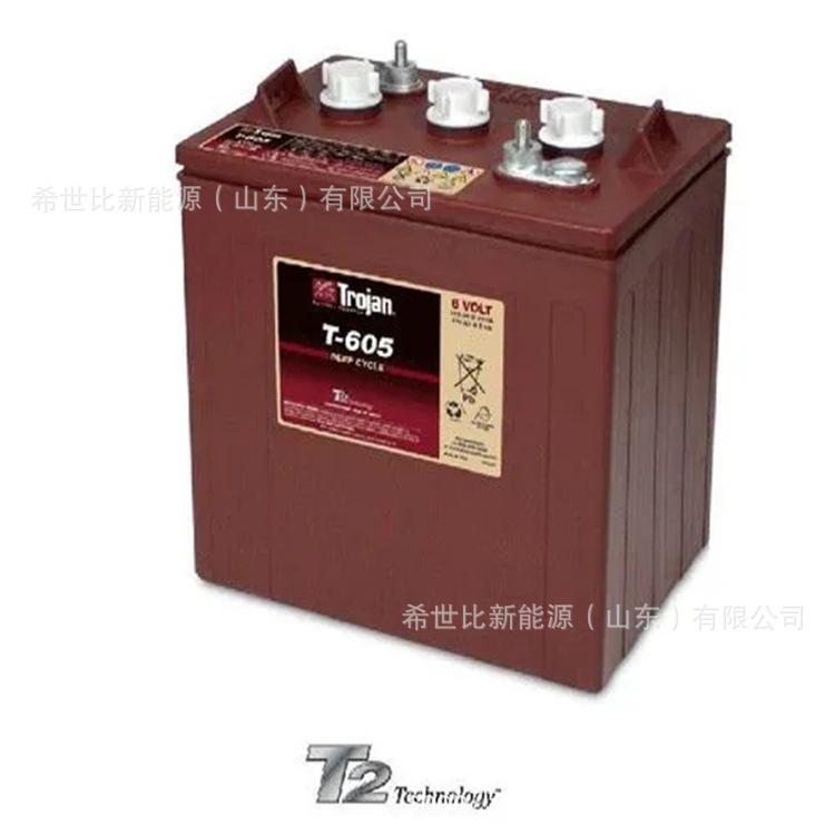 T605 6V210AH.jpg
