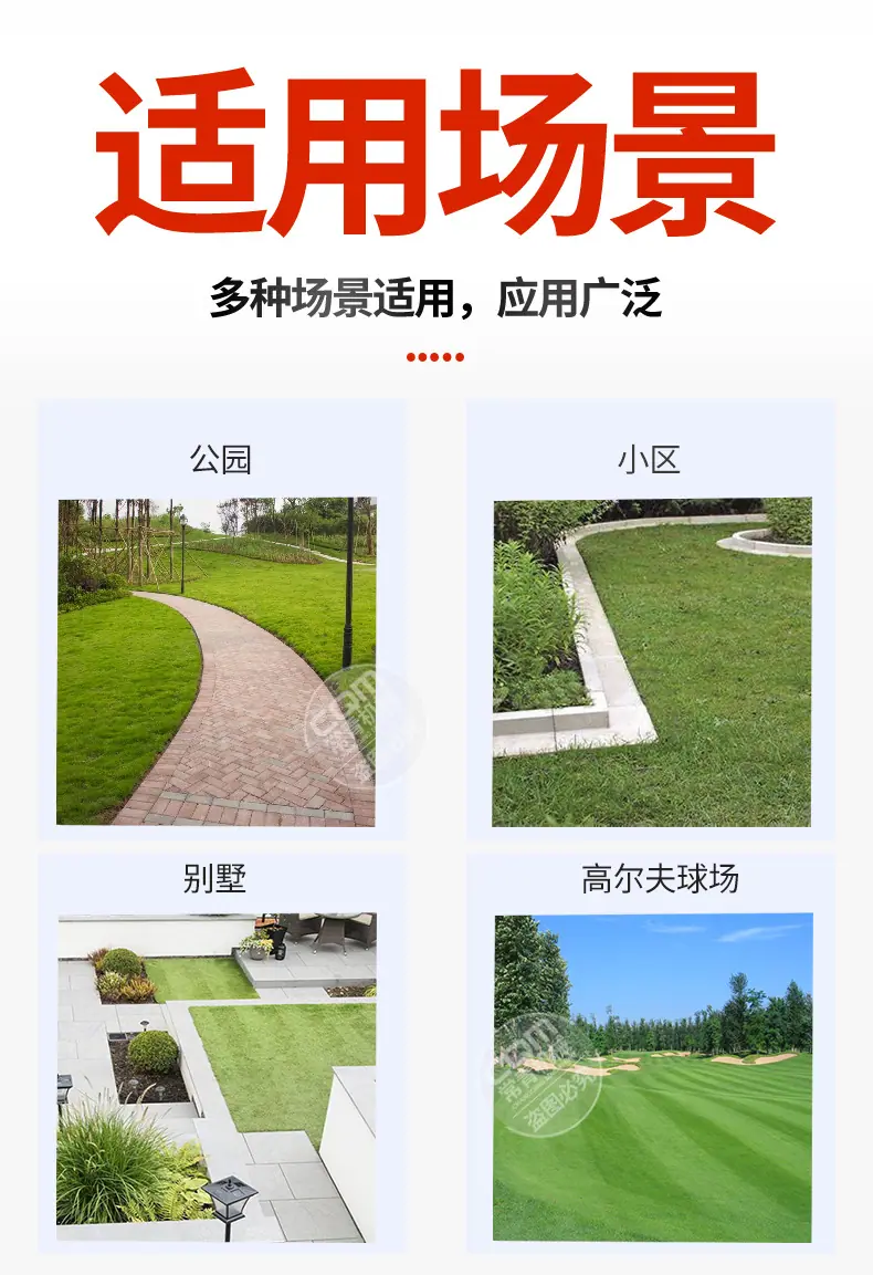 草坪修边机_02.jpg