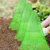 Campana Cuadrada para Proteger Plantas de Aves, Heladas y Caracoles, Cubierta para Plántulas de Jardinería al por Mayor, Verde