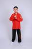 Uniformes de Artes Marciais de Manga Longa para Primavera e Outono, Uniformes de Treinamento de Artes Marciais, Uniformes de Performance, Uniformes de Treinamento de Artes Marciais Elásticos, Uniformes de Performance