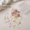 Nail Art Flor Seca Estilo Japonês Fresco Gestapa Girassol Misto Flor Real Pequena Floral Nail Art Caixa de Flor Seca Nail Art