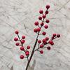 Simulación de fruta de acebo, flor dorada de Año Nuevo, fruta de la fortuna, fruta navideña, hoja de ginkgo, eucalipto, acebo rojo, cubo de Año Nuevo, material floral