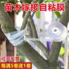 Película para Injertos, Papel de Arroz Glutinoso, No Necesita Quitarse, Uso Agrícola, Película para Atar Árboles Frutales, Cinta para Injertos