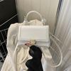 Elegante y popular bolso pequeño estilo coreano para mujer 2023 nuevo de principios de otoño, bolso bandolera ins versátil, bolso pequeño cuadrado texturizado