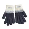Luvas de Inverno Femininas, Elegantes, Novas, de Alto Valor, Tricô Aveludado, Cinco Dedos, Adulto, Quentes e à Prova de Frio, Luvas Touchscreen