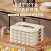 Caja Portátil Multicapa para Empanadillas, Caja de Almacenamiento para Refrigerador de Grado Alimenticio, Caja de Conservación de Wontons de Gran Capacidad, Almacenamiento de Empanadillas Congeladas