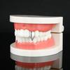 Colmillos de vampiro de Europa y Estados Unidos, colmillos, colmillos, Halloween europeo y americano, divertidos, chapado en oro real, dientes de tigre pequeños, hombres y mujeres, aparatos individuales