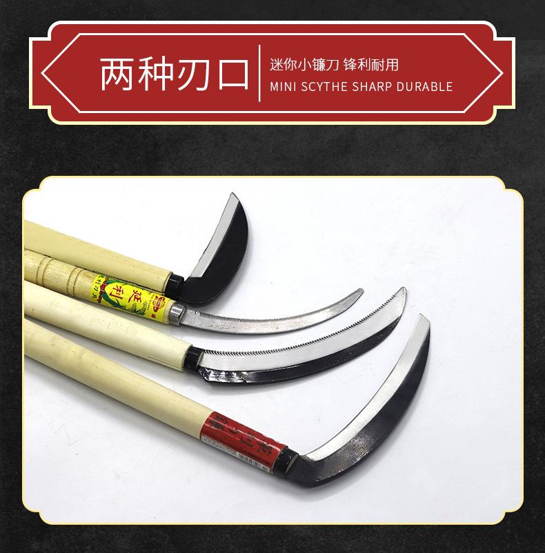 详情_04.jpg