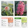Novo Modelo para Entrega: Zhumeng Casa Celebridade da Internet Sem Fogo Líquido Refil de Aromaterapia para Quarto de Menina Fragrância Gaiola de Pássaro Pequeno Perfume