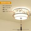 Novo estilo de luminária de teto de bordado chinês para sala de estar, luminária de teto retangular para casa, quarto e corredor