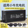 Cargador de Vehículo Eléctrico con Batería de Litio Niu para Scooter Eléctrico Mqi/Uqi/Nqi/G0/G2/F0/C0/F2