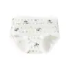 Ropa interior de algodón puro con diseño de panda para mujer, transpirable, amigable con la piel, 10A antibacteriana, entrepierna extendida, elástica, sin costuras, ropa interior de algodón para niñas