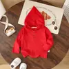 Nueva Sudadera con Capucha de Estilo Coreano para Bebés y Niños Pequeños de Primavera y Otoño, Conjunto de Dos Piezas de Ropa de Invierno para Niños y Niñas, Ropa Exterior Elegante