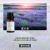 Fabricante de Fuente de Aromaterapia Aceite Esencial de Aromaterapia Soluble en Agua 10 ml Fragancia Vegetal L Difusor Ambientador Máquina de Aromaterapia Aceite Esencial