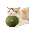 Juguete para Gatos Extra Grande Bola de Hierba Gatera Entretenimiento Propio Diversión Cosa Buena Gatitos Gatitos Palo para Molestar Suministros para Gatos Mascotas Molienda de Dientes