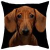 Novo Produto Shopee Transfronteiriço Fronha Desenho Animado Estampa Cachorro Preto Pele de Pêssego Animal Travesseiro Fronha de Casa