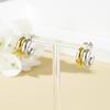 Aretes Transfronterizos Nuevos Europeos y Americanos de Lujo Ligero Bicolor de Acero Inoxidable para Mujer Chapados en Oro No se Desvanecen Elegantes Modernos Aretes de Acero de Titanio