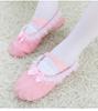Zapatos de Encaje para Danza Zapatos de Princesa para Niñas para Bailar Suela Suave Zapatos de Garra de Gato Dos Lugares Ballet Yoga Lona Encaje Zapatos Boutique