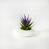 Simulação Transfronteiriça Mini Suculenta Planta Verde Ornamento Simulação Planta Verde Planta em Vaso Indoor Decoração de Escritório em Casa Flor Artificial Trabalhador