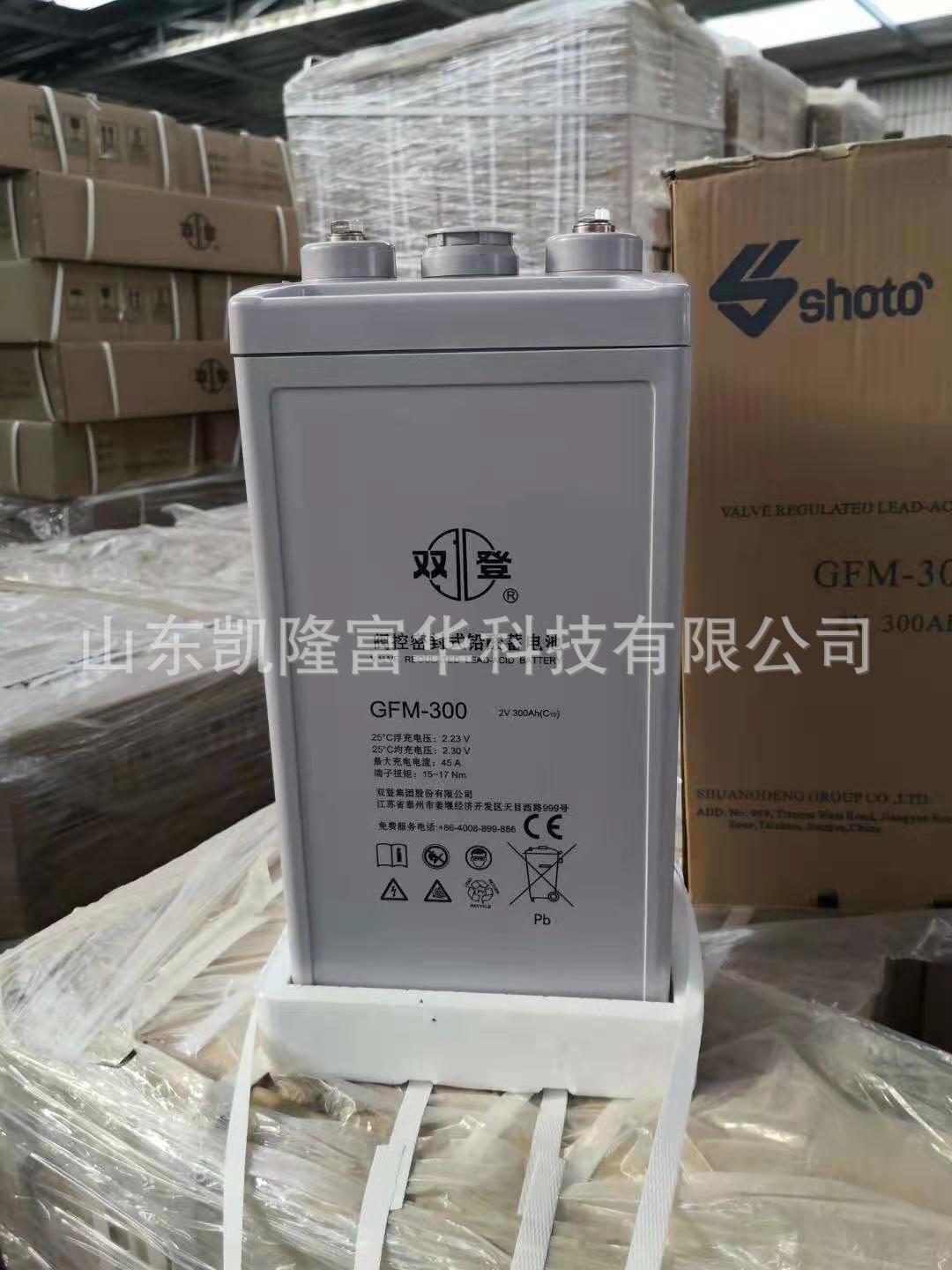 双登2V300 - 副本 - 副本