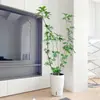Planta Grande de Madera Pata de Pato en Maceta para Interior para Purificación del Aire, Adecuada para Dormitorio y Sala de Estar, Perenne Todo el Año, Planta Verde de Moda