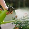 Regadera Doméstica Pulverizador Pequeño Regadera Atomizadora Manual de Presión de Aire de Doble Propósito para Plantas Suculentas Verdes