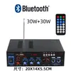 Mini Amplificador de Potencia Tarjeta Plug-In Multifunción Bluetooth Amplificador de Potencia para Hogar Coche 12V 220V