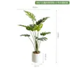 Plantas Artificiais Estilo Nórdico em Estoque para Atacado, Planta Artificial de Taro Torto, Plantas Verdes Falsas para Paisagismo, Plantas em Vasos para Decoração de Piso Interno para Sala de Estar