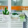 Estante Colgante de Escritorio de Hierro Estante de Almacenamiento Multicapa Estante para Macetas de Alféizar de Ventana Soporte para Plantas Suculentas de Escritorio de Oficina